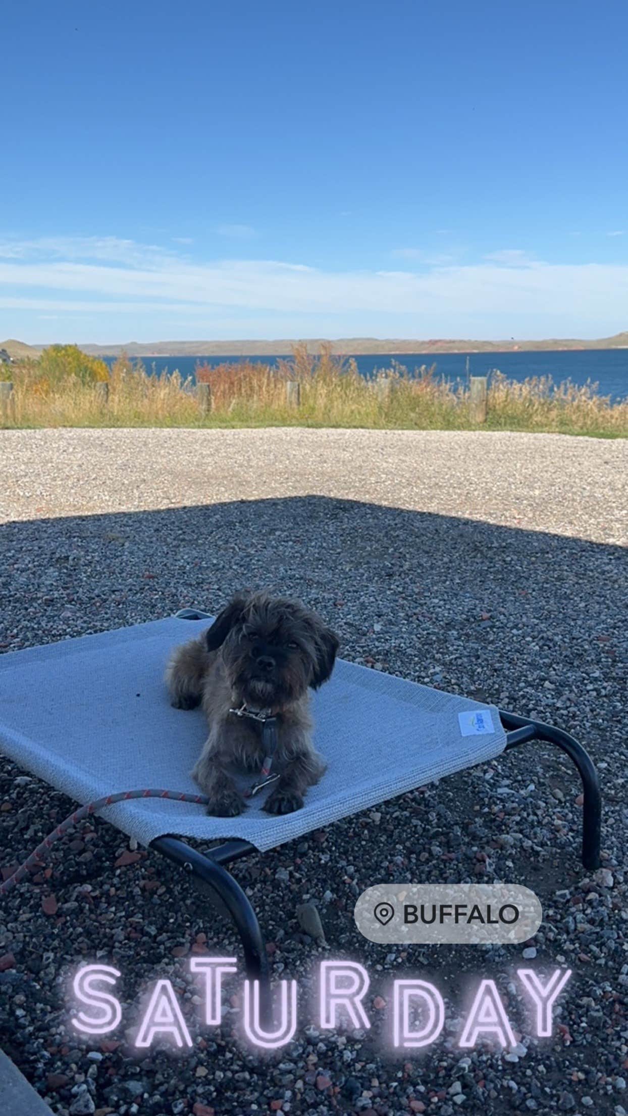 Camper submitted image from Mikesell Potts Recreation Area - 4