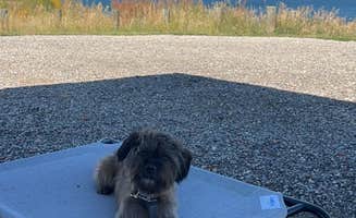 N M.'s photo of camping with pets at Mikesell Potts Recreation Area near Bighorn Canyon National Recreation Area
