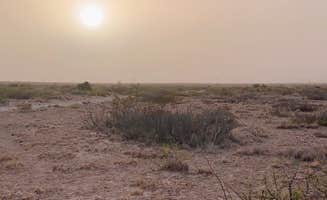 Cari E.'s photo of camping with pets at Mile 10 - Dispersed Camping near Guadalupe Mountains National Park