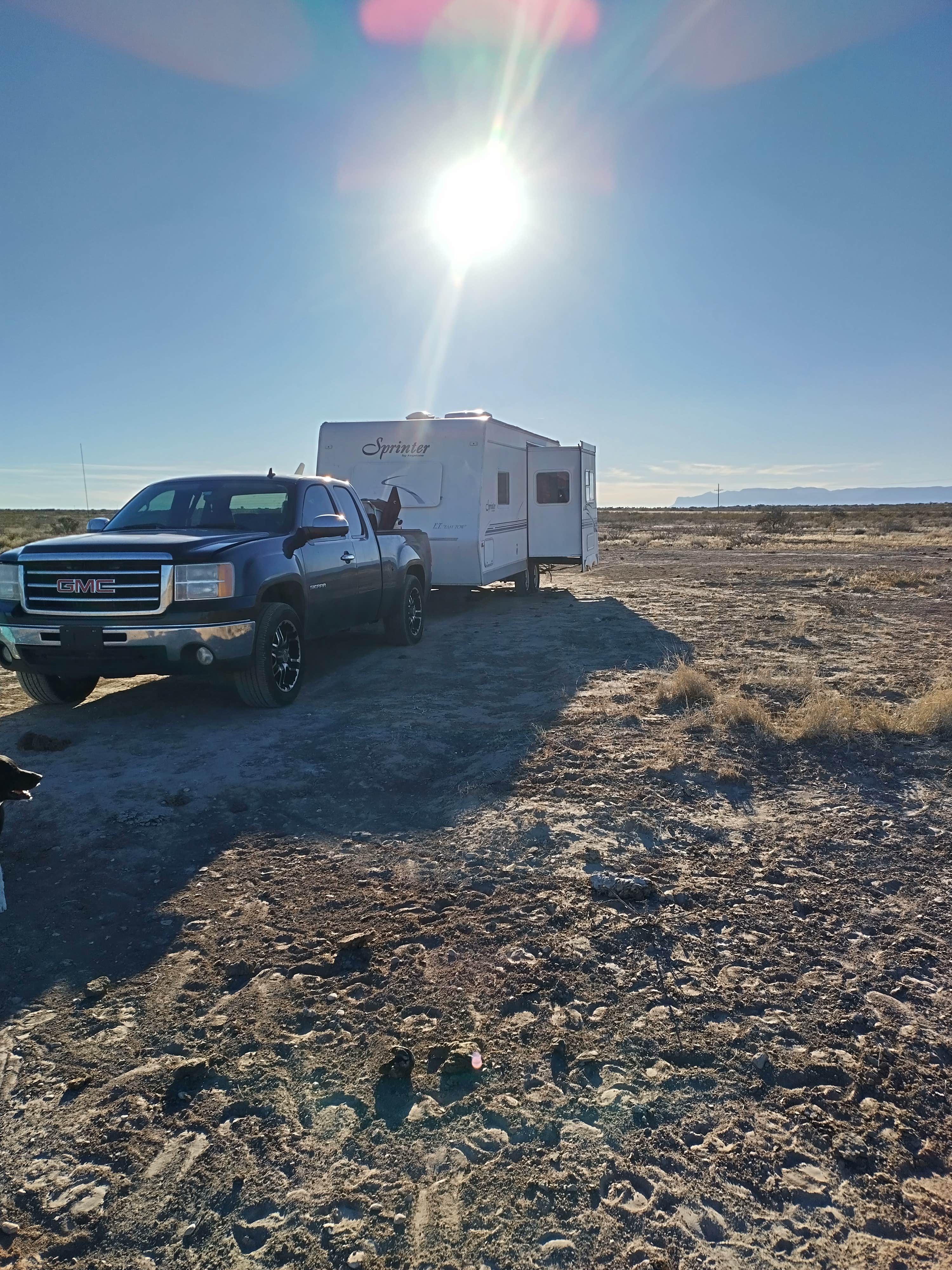 Robbie T.'s photo of camping with pets at Mile 10 - Dispersed Camping near Dell City, TX