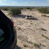 Review photo of Mile 10 - Dispersed Camping by Haley L., May 11, 2025