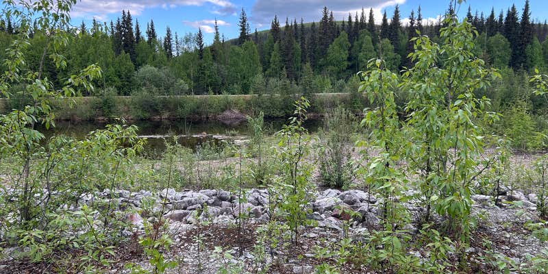 Camper submitted image from Mile 38.1 Chena River Access