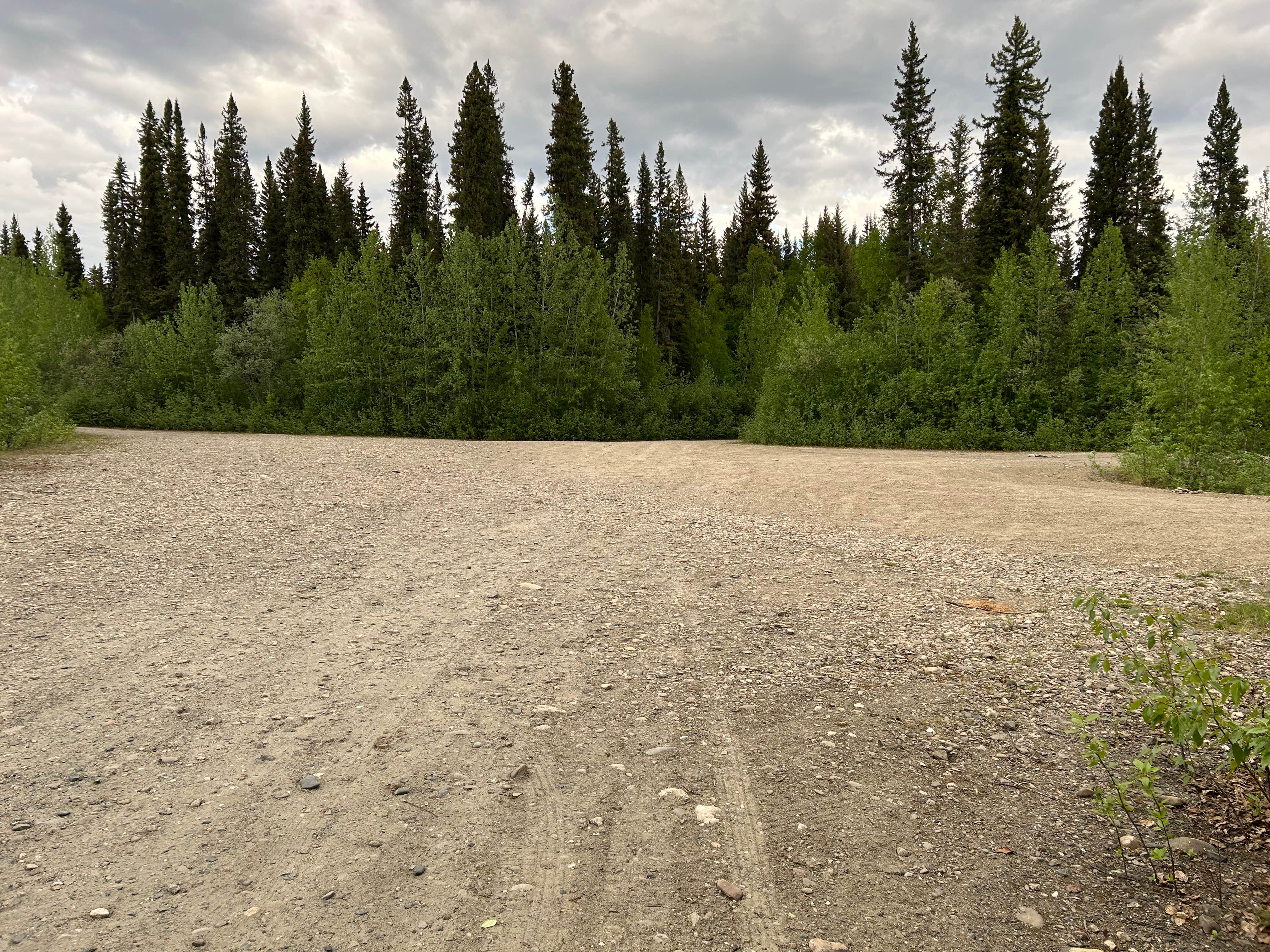 Camper-submitted photo at Mile 38.1 Chena River Access near Ester, AK