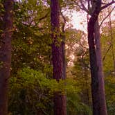 Review photo of Military Park Cheatham Annex / Yorktown Naval Weapons Station RV Campground by Janet R., June 19, 2024