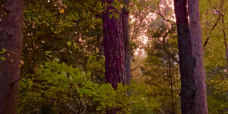 Camper submitted image from Military Park Cheatham Annex / Yorktown Naval Weapons Station RV Campground