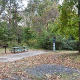 Review photo of Military Park Cheatham Annex / Yorktown Naval Weapons Station RV Campground by Janet R., June 19, 2024