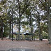 Review photo of Military Park Cheatham Annex / Yorktown Naval Weapons Station RV Campground by Janet R., June 19, 2024