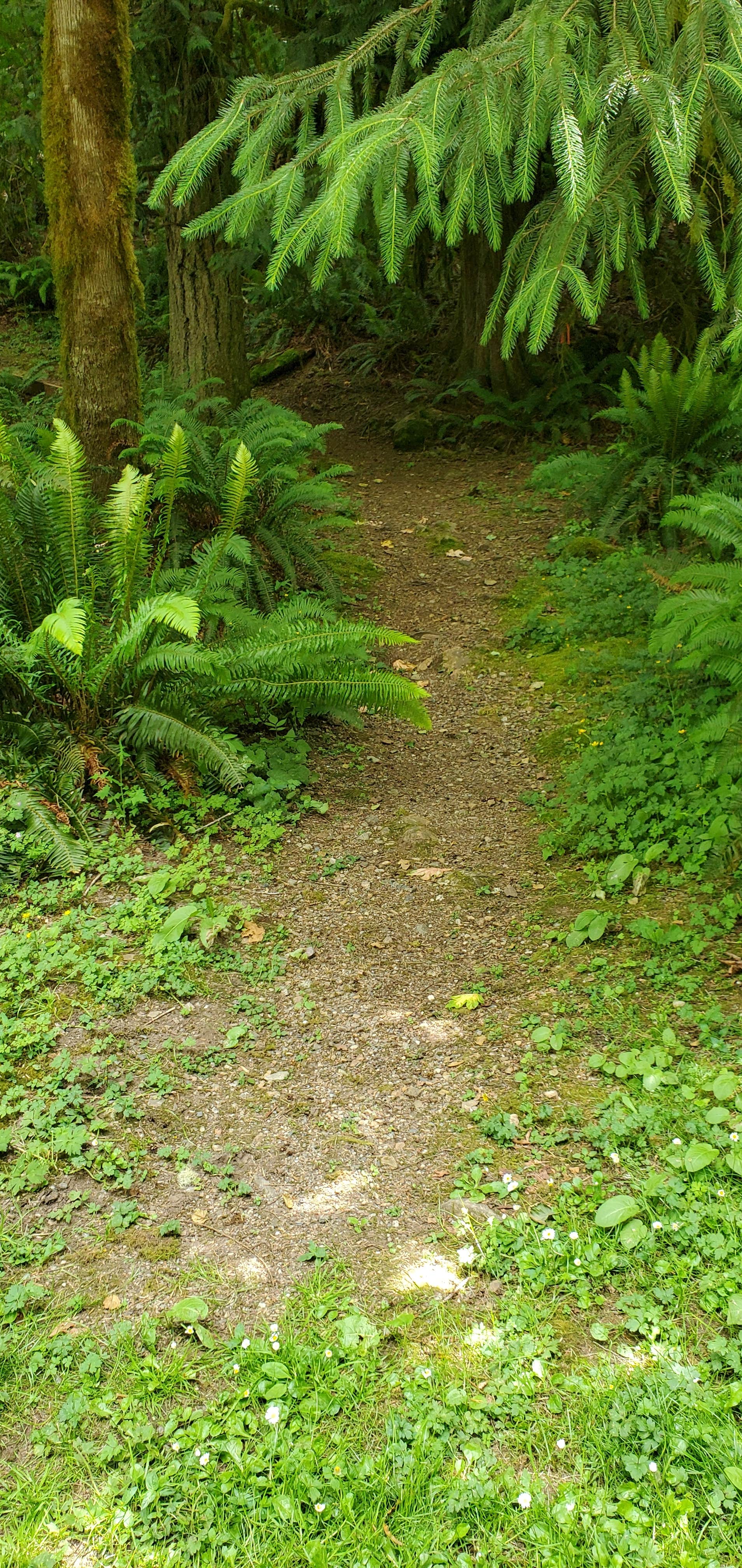 Camper-submitted photo at Military Park Jim Creek Naval Radio Station Jim Creek Wilderness Recreation Area near Mt. Baker-Snoqualmie National Forest