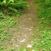 Review photo of Military Park Jim Creek Naval Radio Station Jim Creek Wilderness Recreation Area by Christina F., June 21, 2025