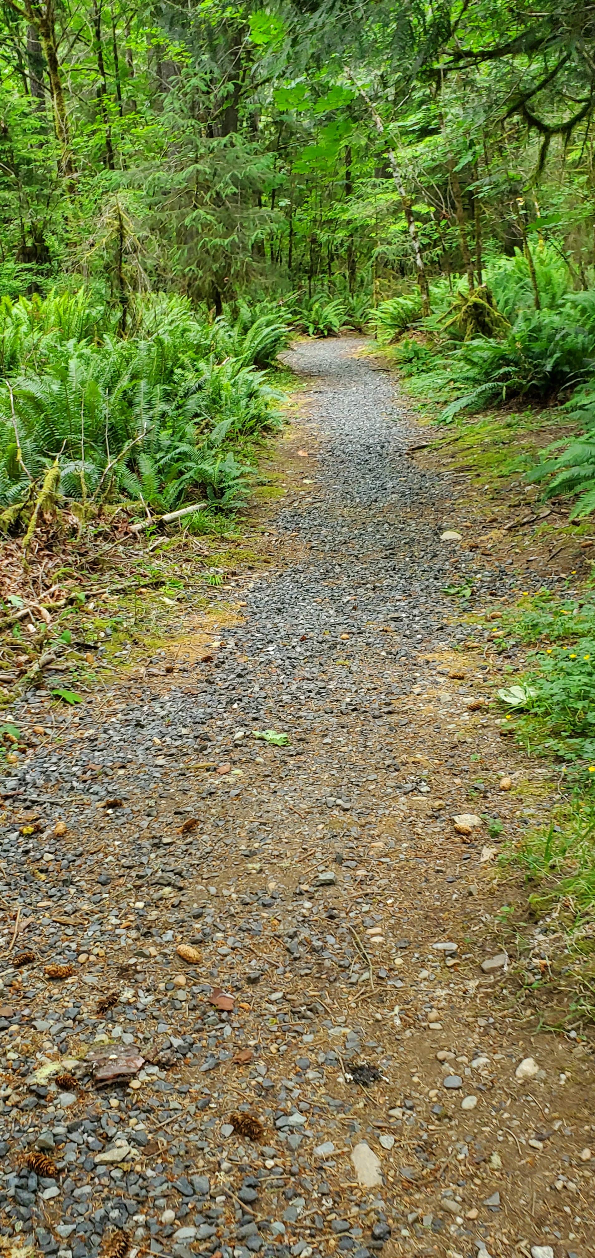 Camper-submitted photo at Military Park Jim Creek Naval Radio Station Jim Creek Wilderness Recreation Area near Mt. Baker-Snoqualmie National Forest