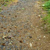 Review photo of Military Park Jim Creek Naval Radio Station Jim Creek Wilderness Recreation Area by Christina F., June 21, 2025