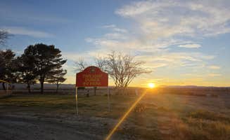 Matthew W.'s photo of camping with pets at Military Park Twentynine Palms Marine Corps Air/Ground Combat Center Twilight Dunes near Amboy, CA