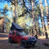 Review photo of Milk Ranch Point Road by Dana V., October 29, 2025