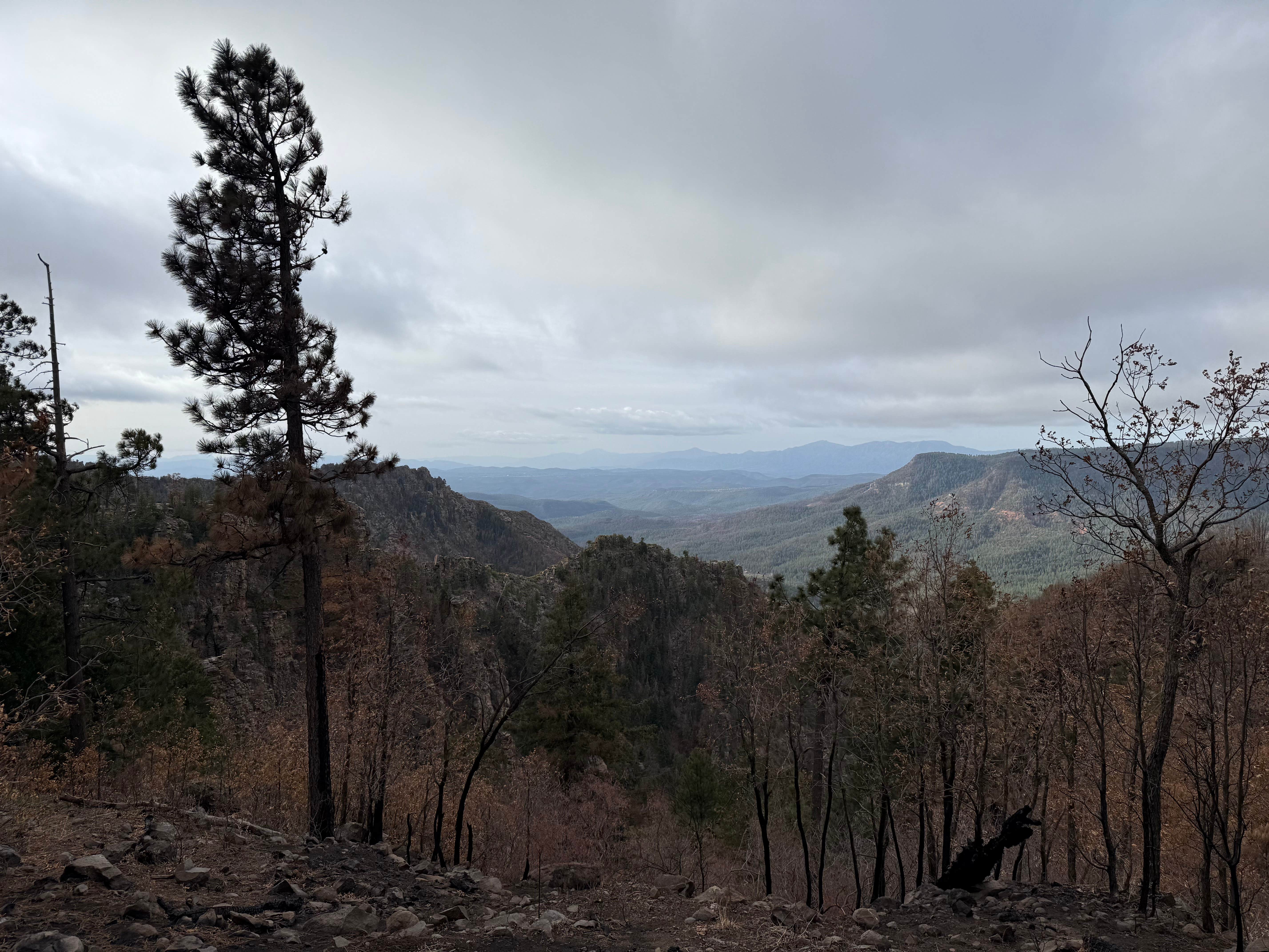 Camper submitted image from Milk Ranch Point Road - 3