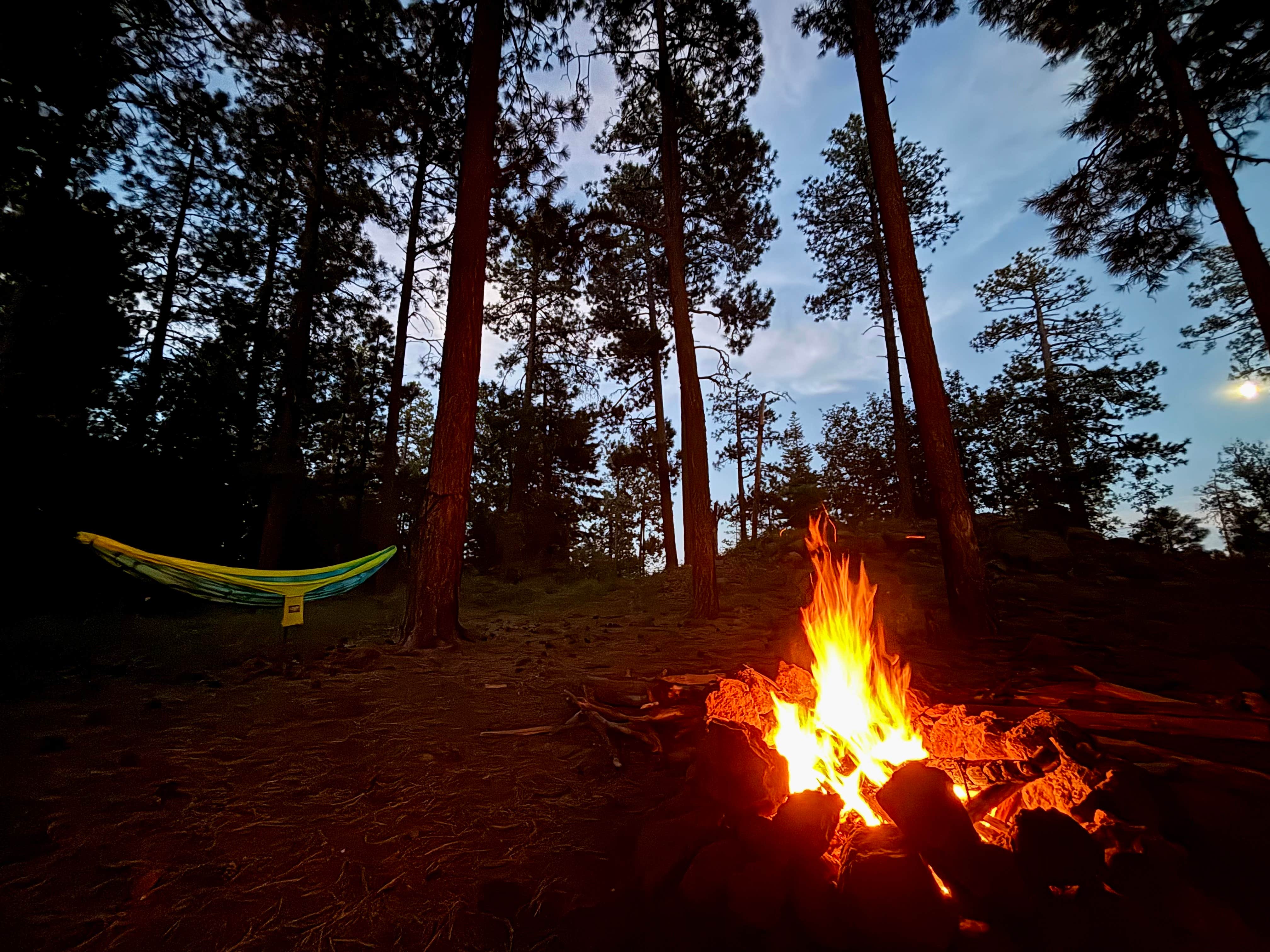 Camper-submitted photo at Milk Ranch Point Road near Kohls Ranch, AZ