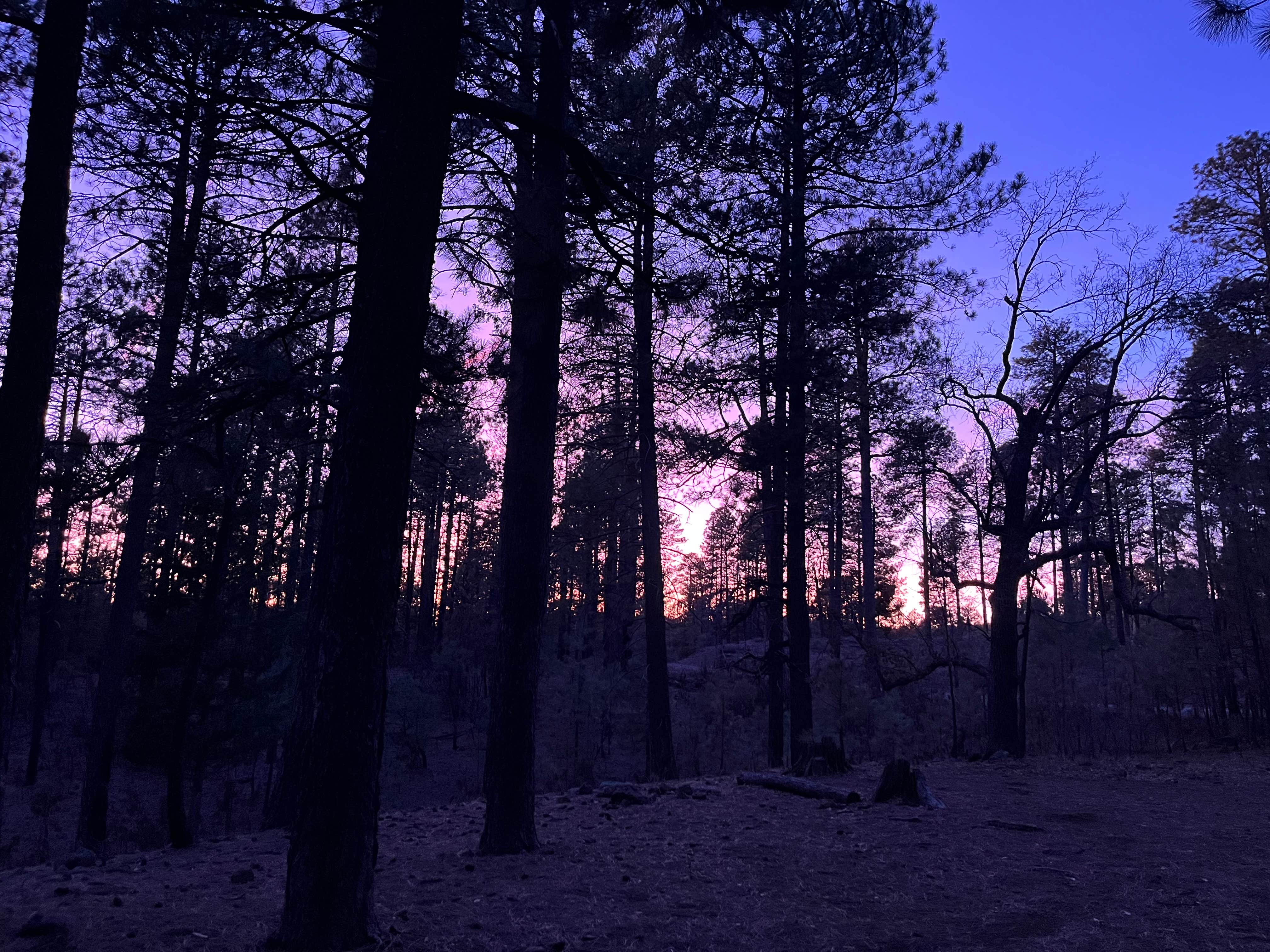 Camper-submitted photo at Milk Ranch Point Road near Strawberry, AZ