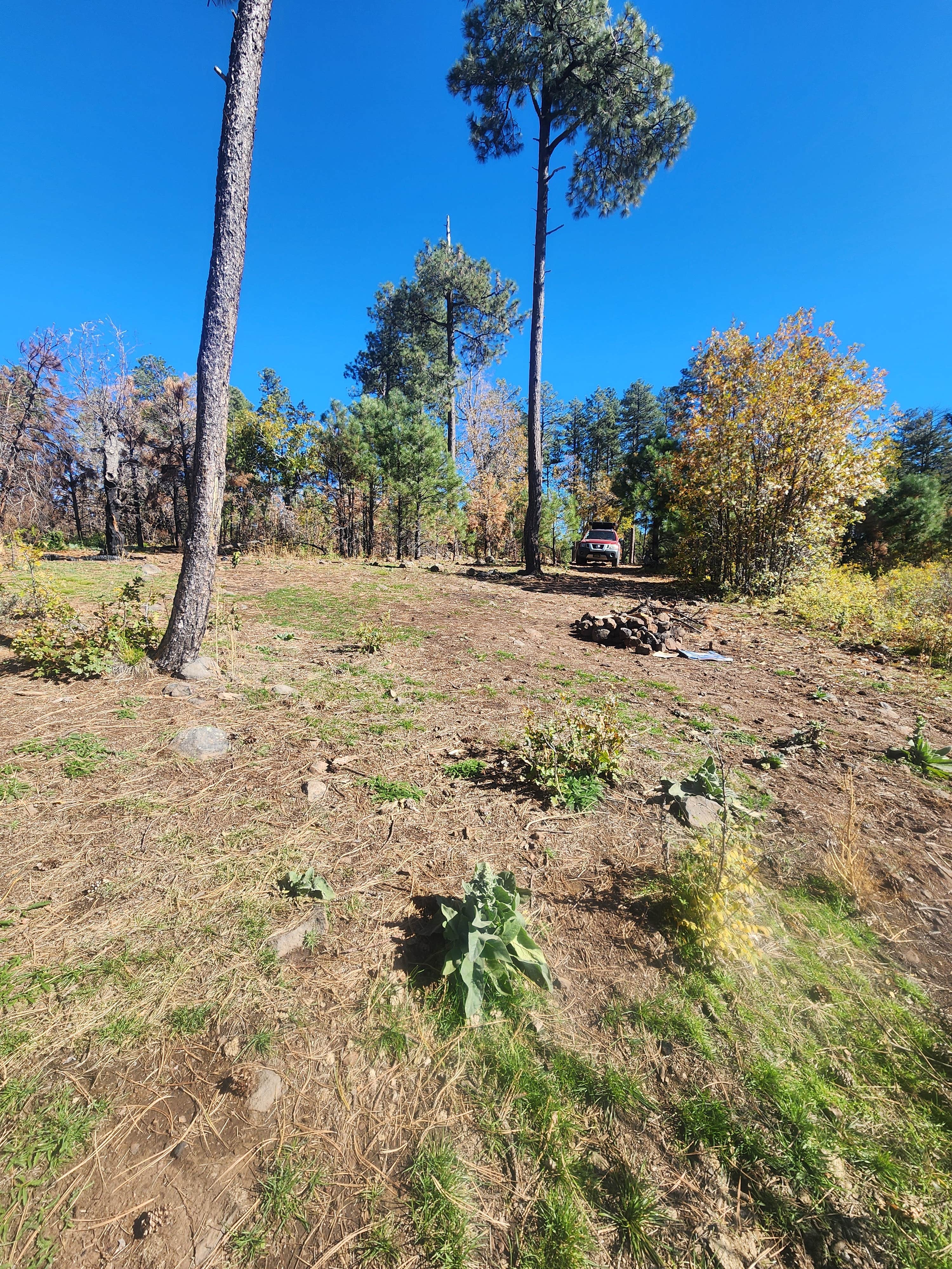 Camper-submitted photo at Milk Ranch Point Road near Kohls Ranch, AZ