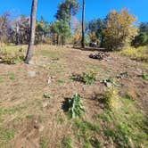 Review photo of Milk Ranch Point Road by Dana V., October 29, 2025