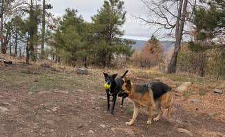 Jazmyn R.'s photo of camping with pets at Milk Ranch Point Road near Strawberry, AZ
