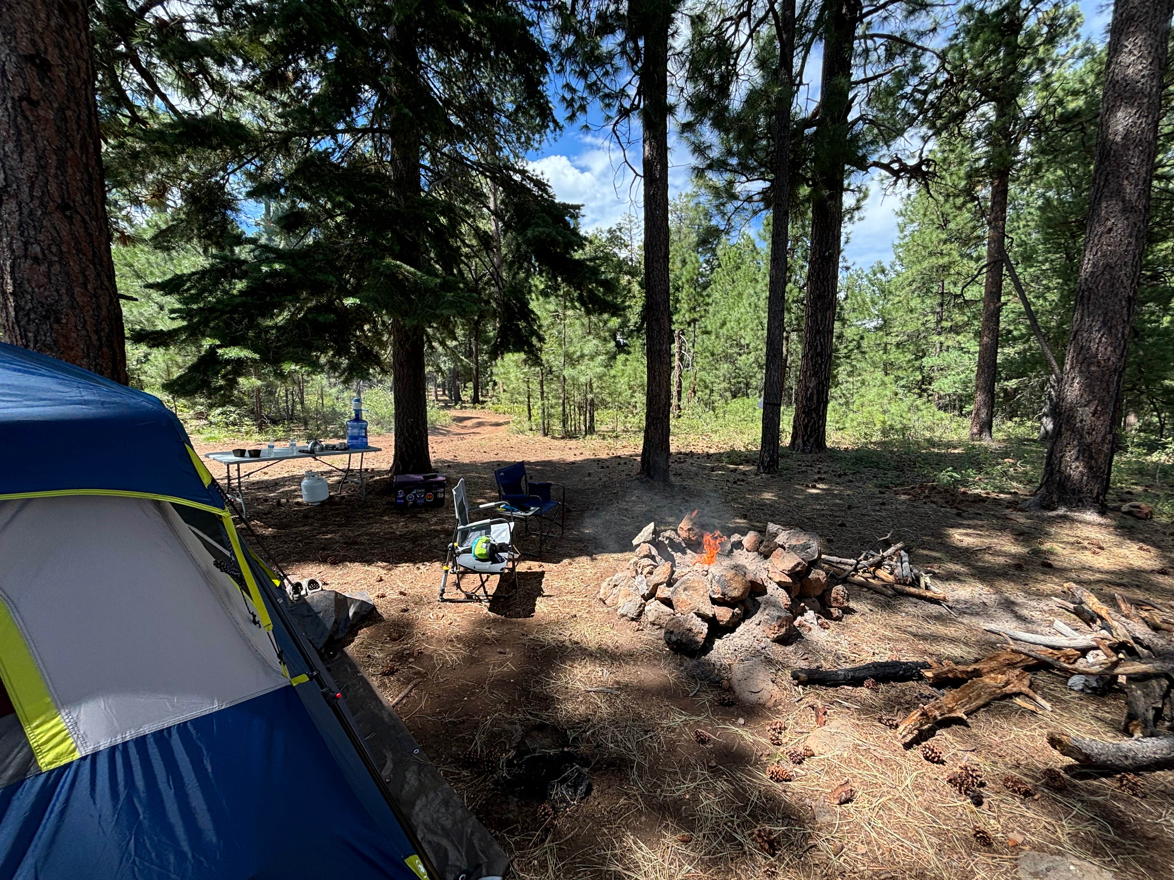 Camper-submitted photo at Milk Ranch Point Road near Kohls Ranch, AZ