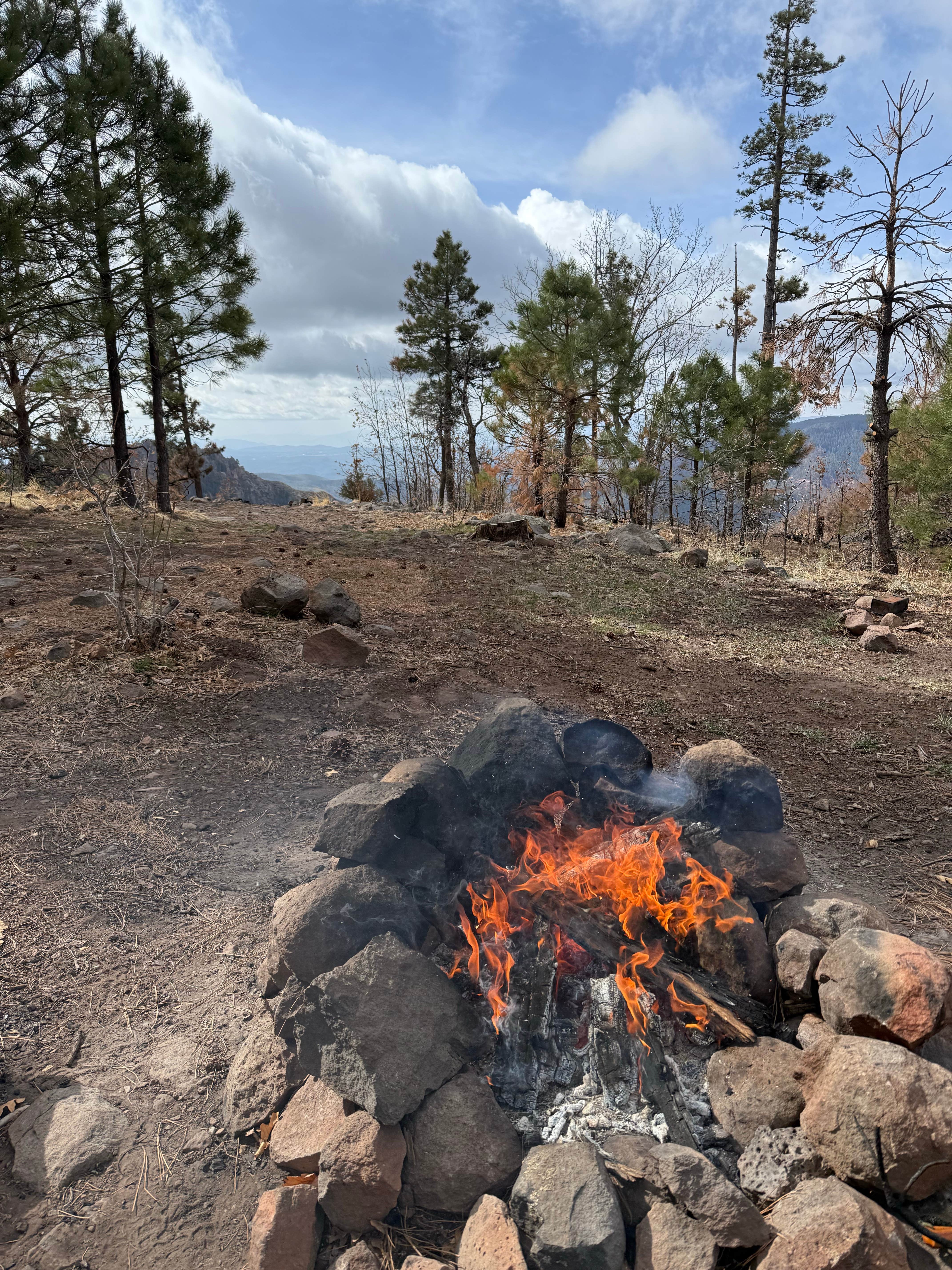 Camping near Dispersed Camping near Baker Butte: Milk Ranch Point Road, Pine, Arizona