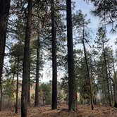 Review photo of Milk Ranch Point Road by Sunday C., March 16, 2026