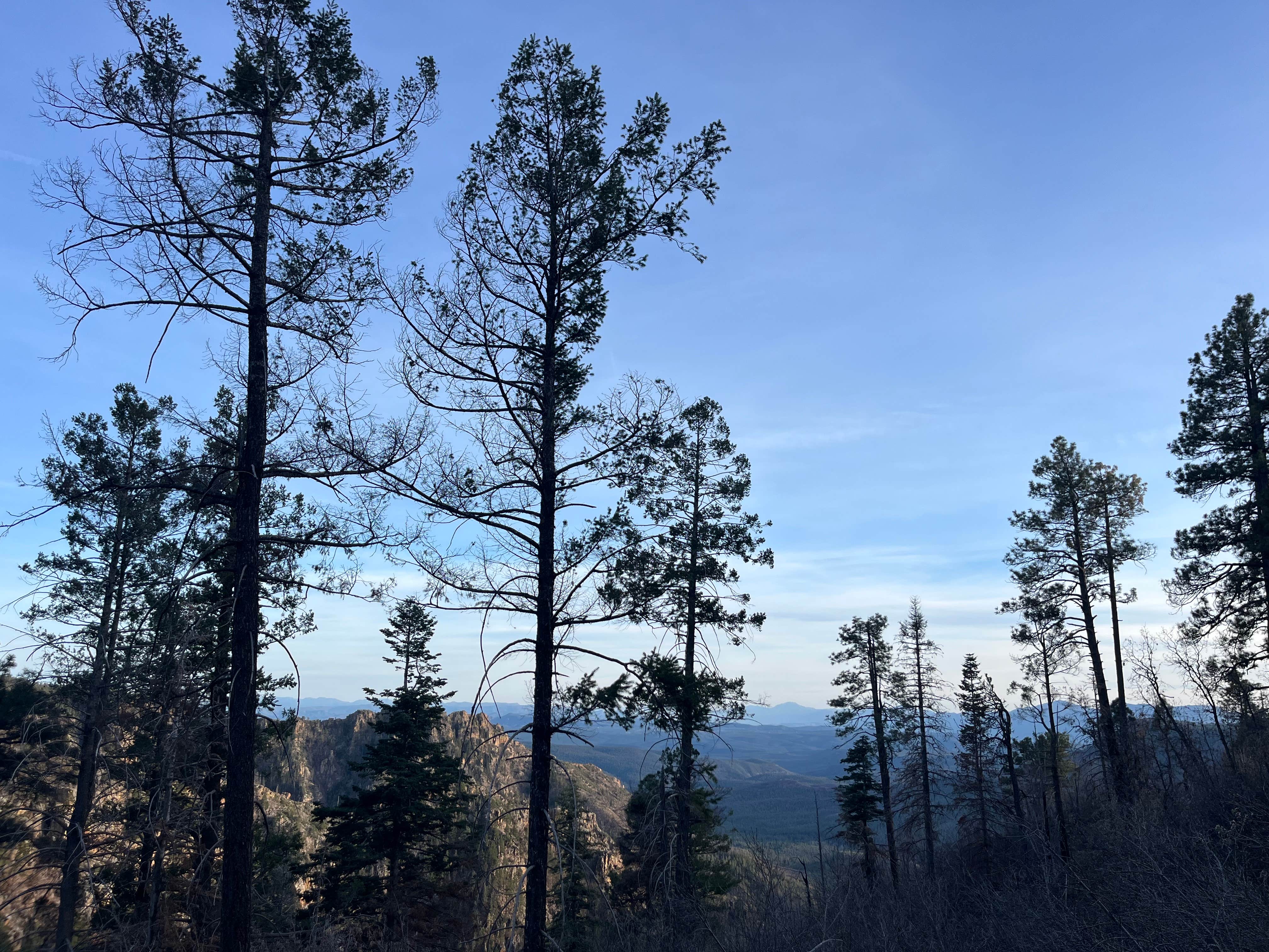 Camper-submitted photo at Milk Ranch Point Road near Strawberry, AZ