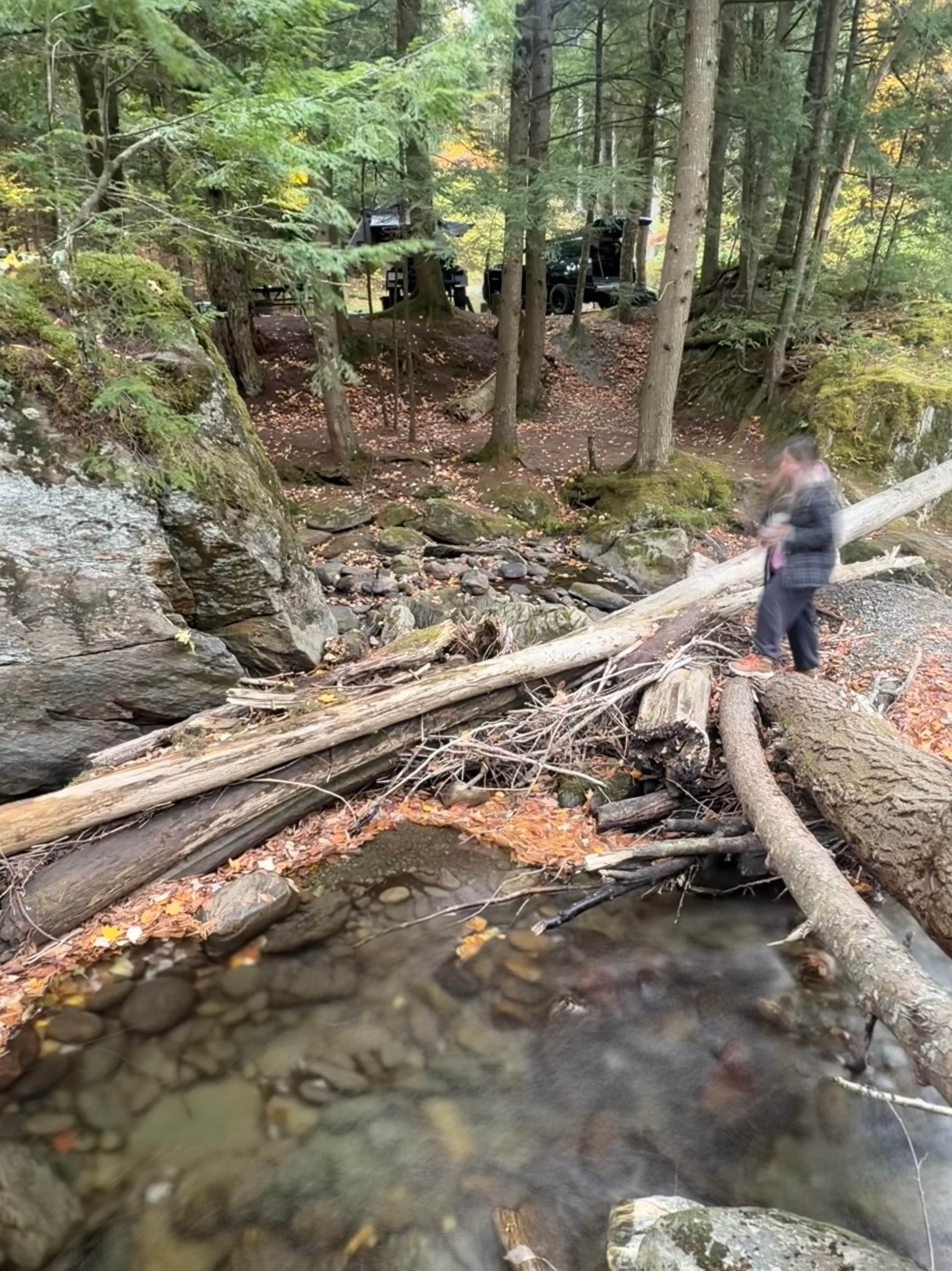 Camping near Prouty Beach Campground: The Millbrook Campground, Westfield, Vermont