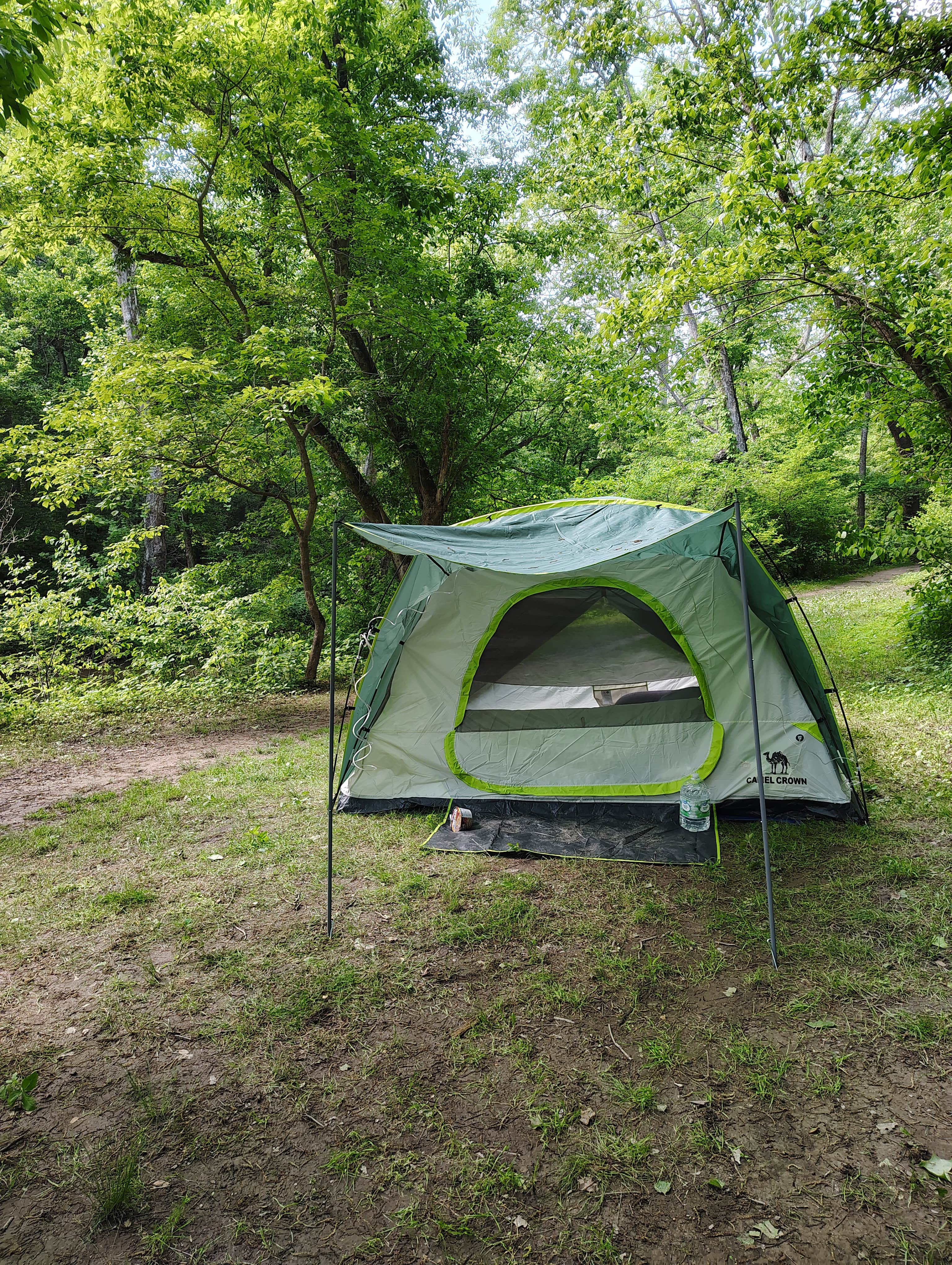 Meagan J.&#x27;s photo of tent camping at Mill Creek Camping Area near Blandon, PA