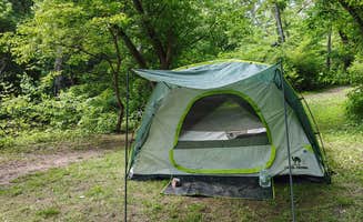 Meagan J.'s photo of tent camping at Mill Creek Camping Area near Oley, PA