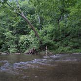 Review photo of Mill Creek Camping Area by Meagan J., May 19, 2025