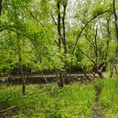 Review photo of Mill Creek Camping Area by Meagan J., May 19, 2025