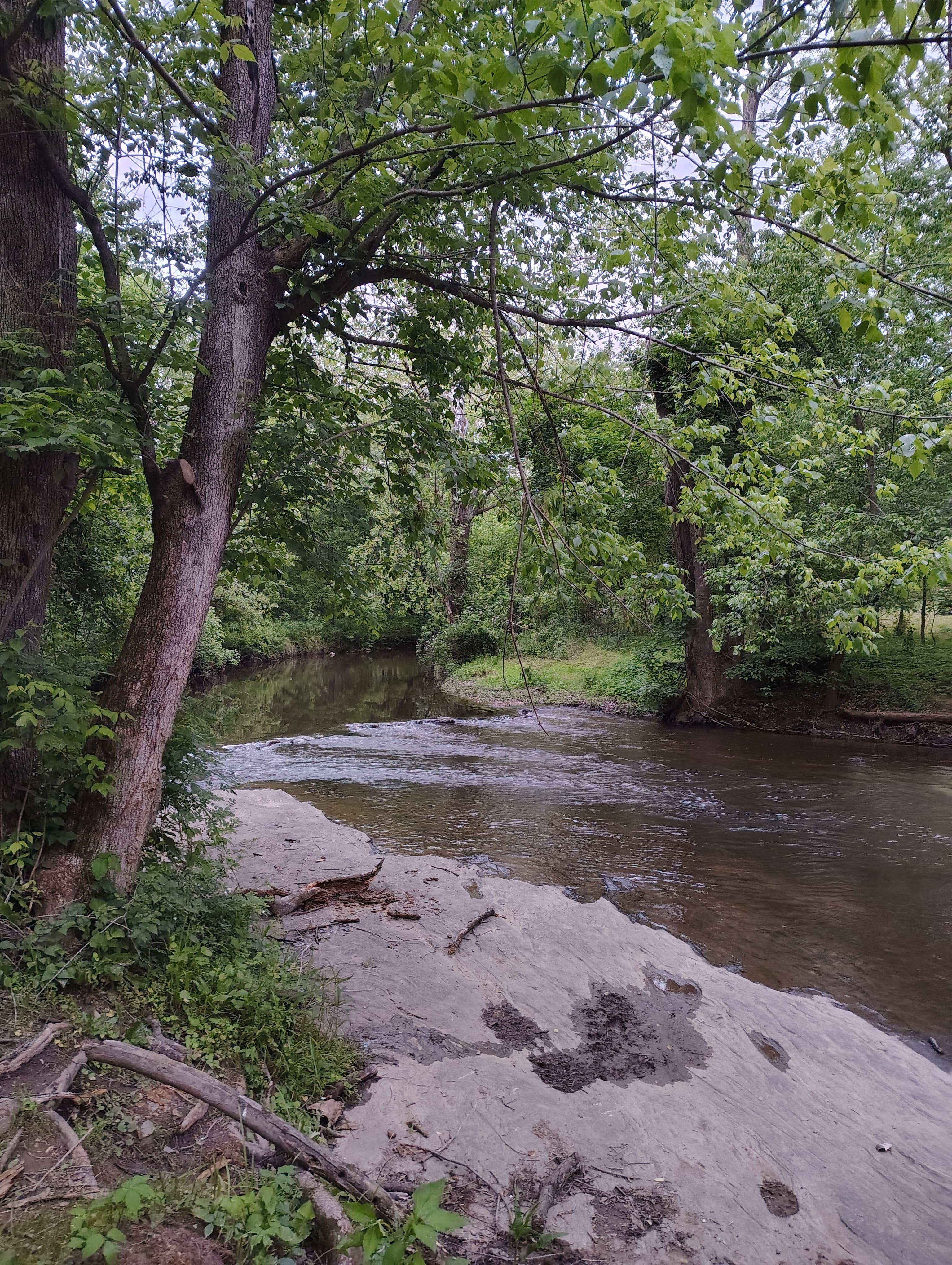 Camper submitted image from Mill Creek Camping Area - 2