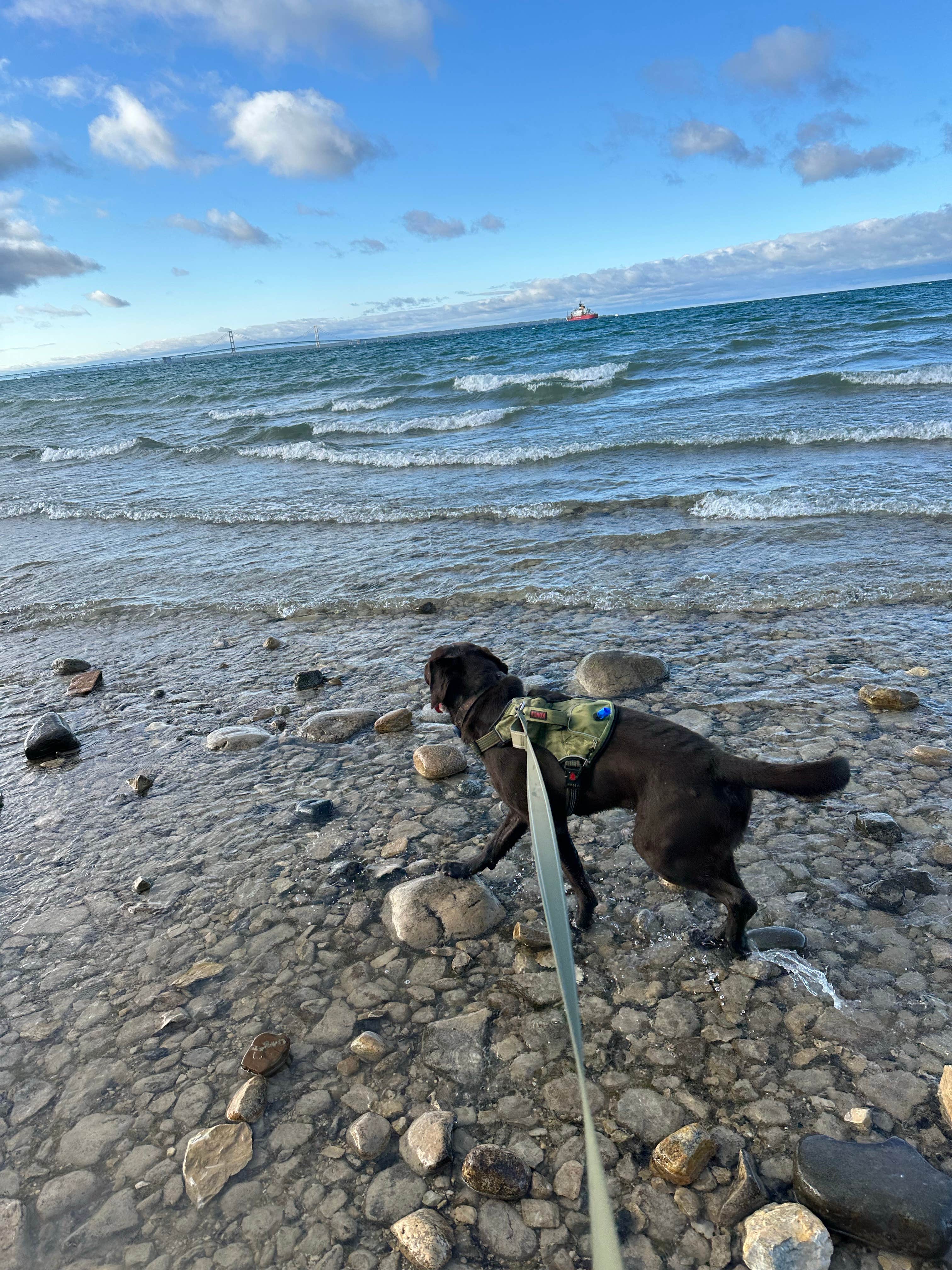 Brad J.'s photo of camping with pets at Mackinaw Mill Creek Camping near Mackinaw City, MI
