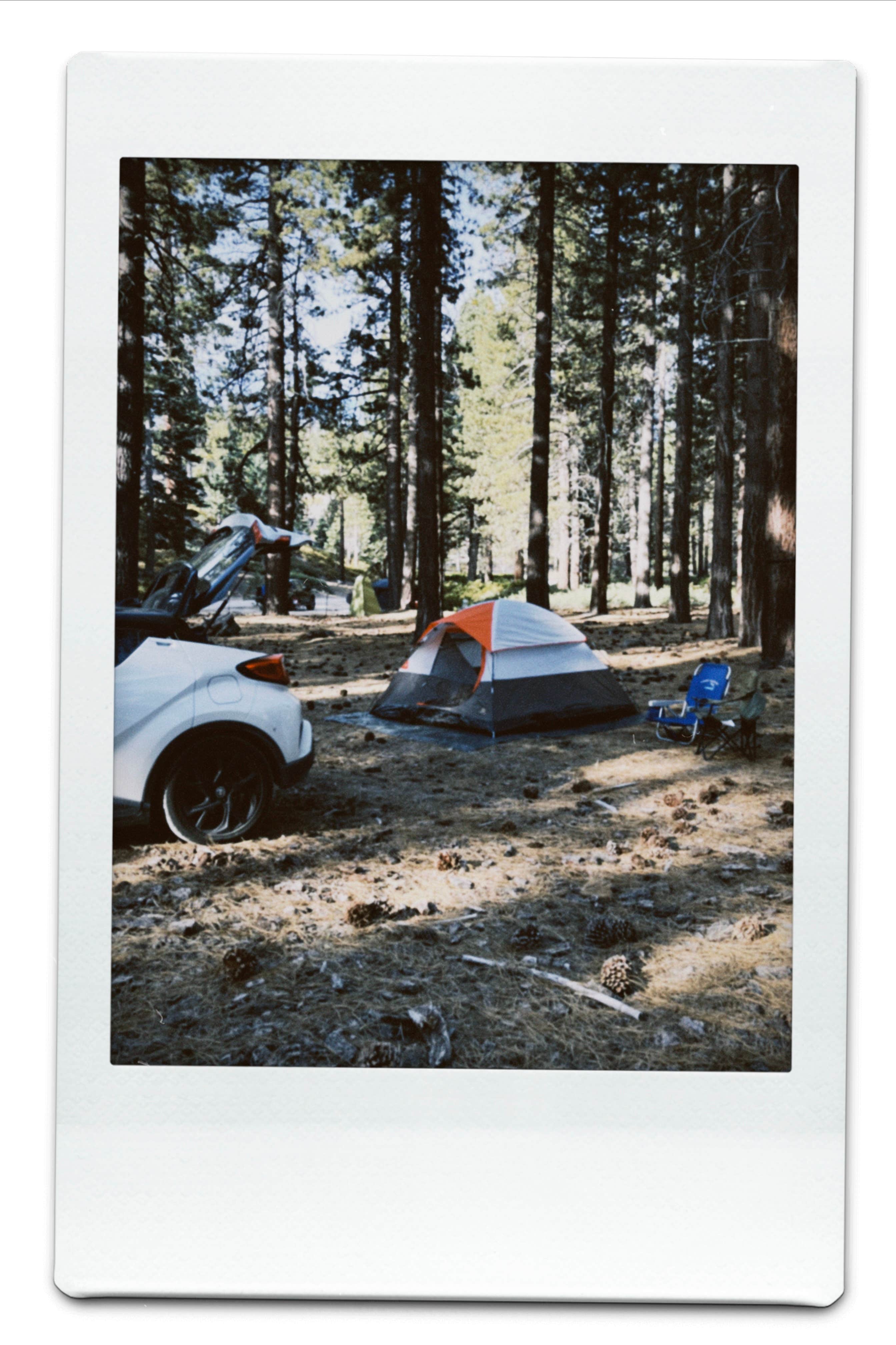 Camper-submitted photo at Mill Creek Dispersed Camping near San Bernardino, CA