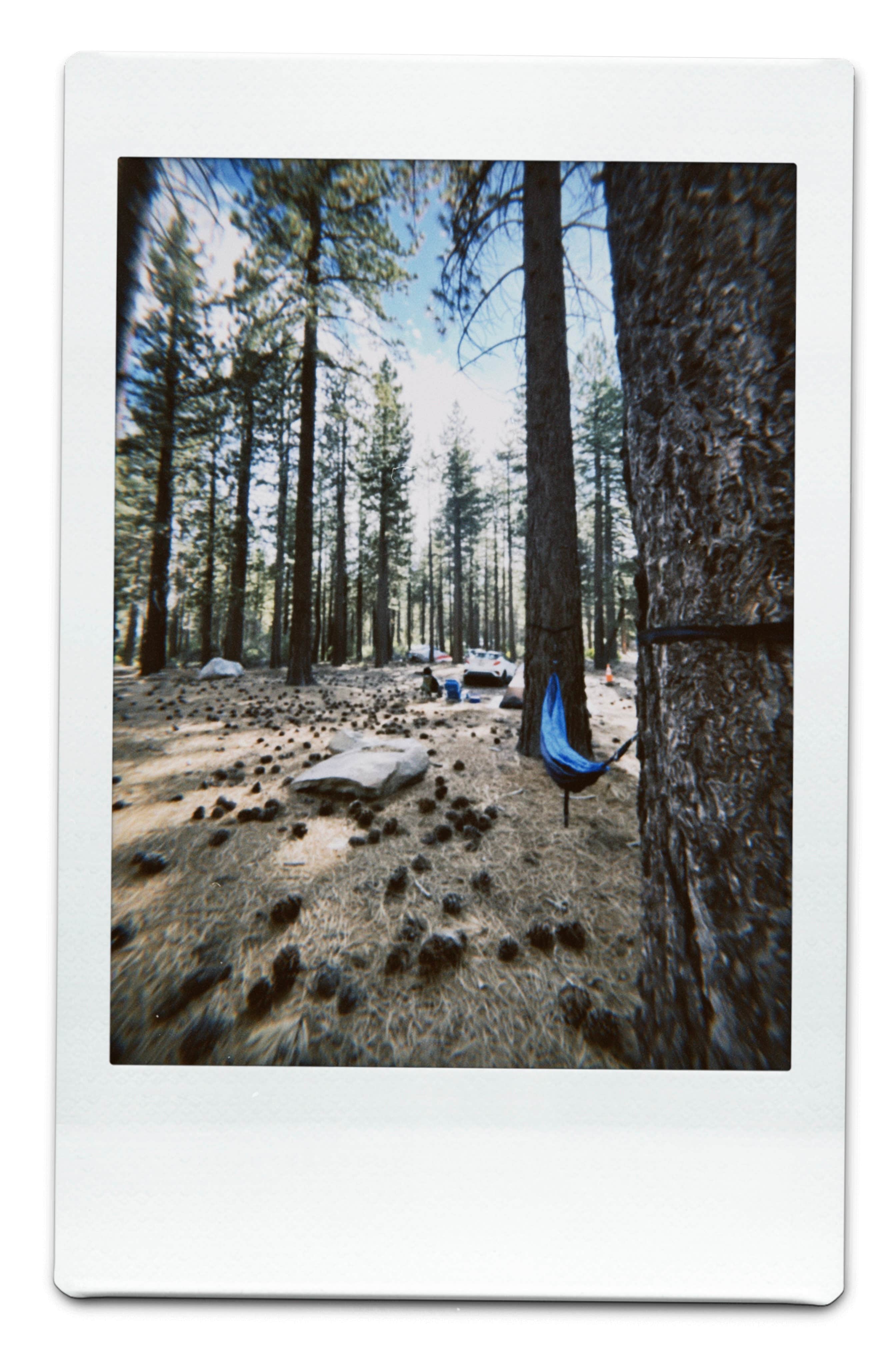 Camper-submitted photo at Mill Creek Dispersed Camping near San Bernardino, CA
