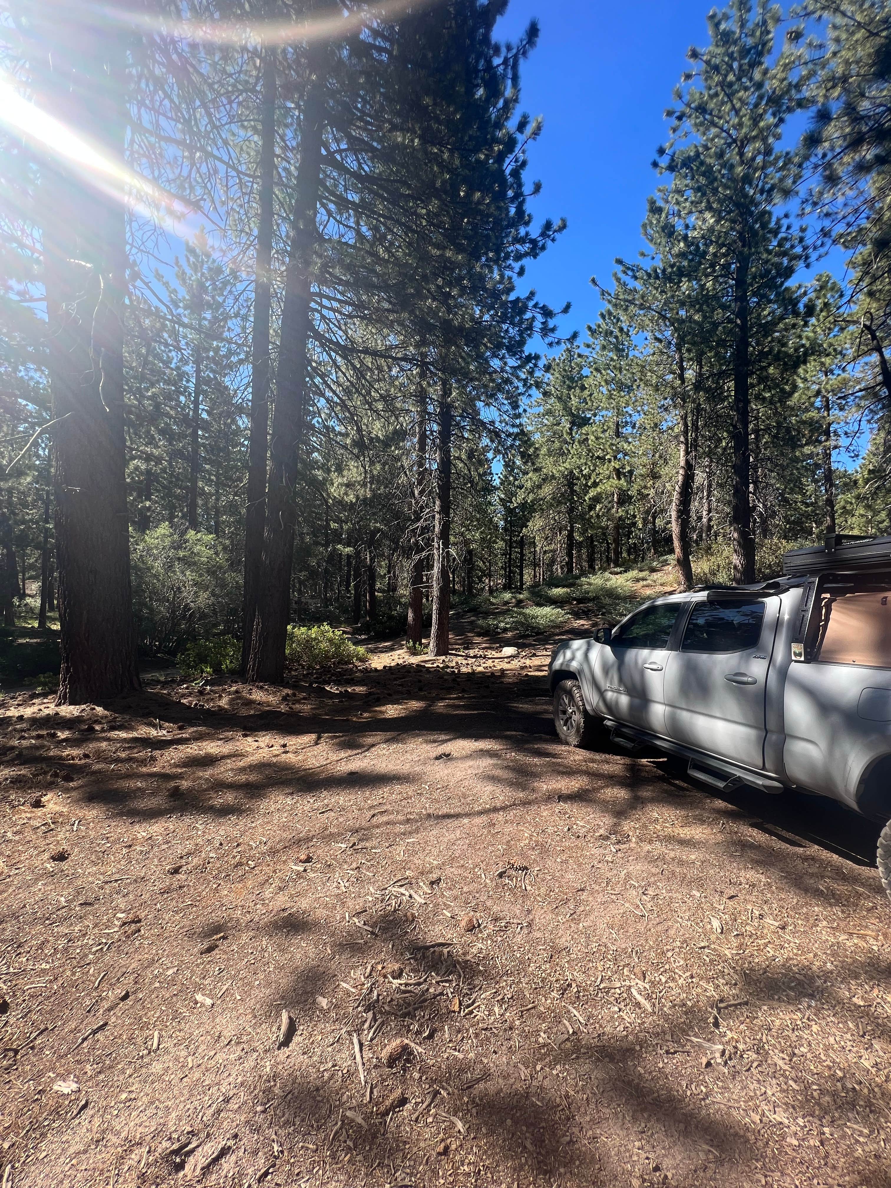 Camper submitted image from Mill Creek Dispersed Camping - 3