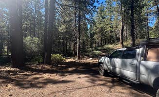 Connor  M.'s photo of a dispersed camping area at Mill Creek Dispersed Camping near Yermo, CA