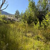 Review photo of Mill Creek National Forest by Kristin C., July 8, 2025