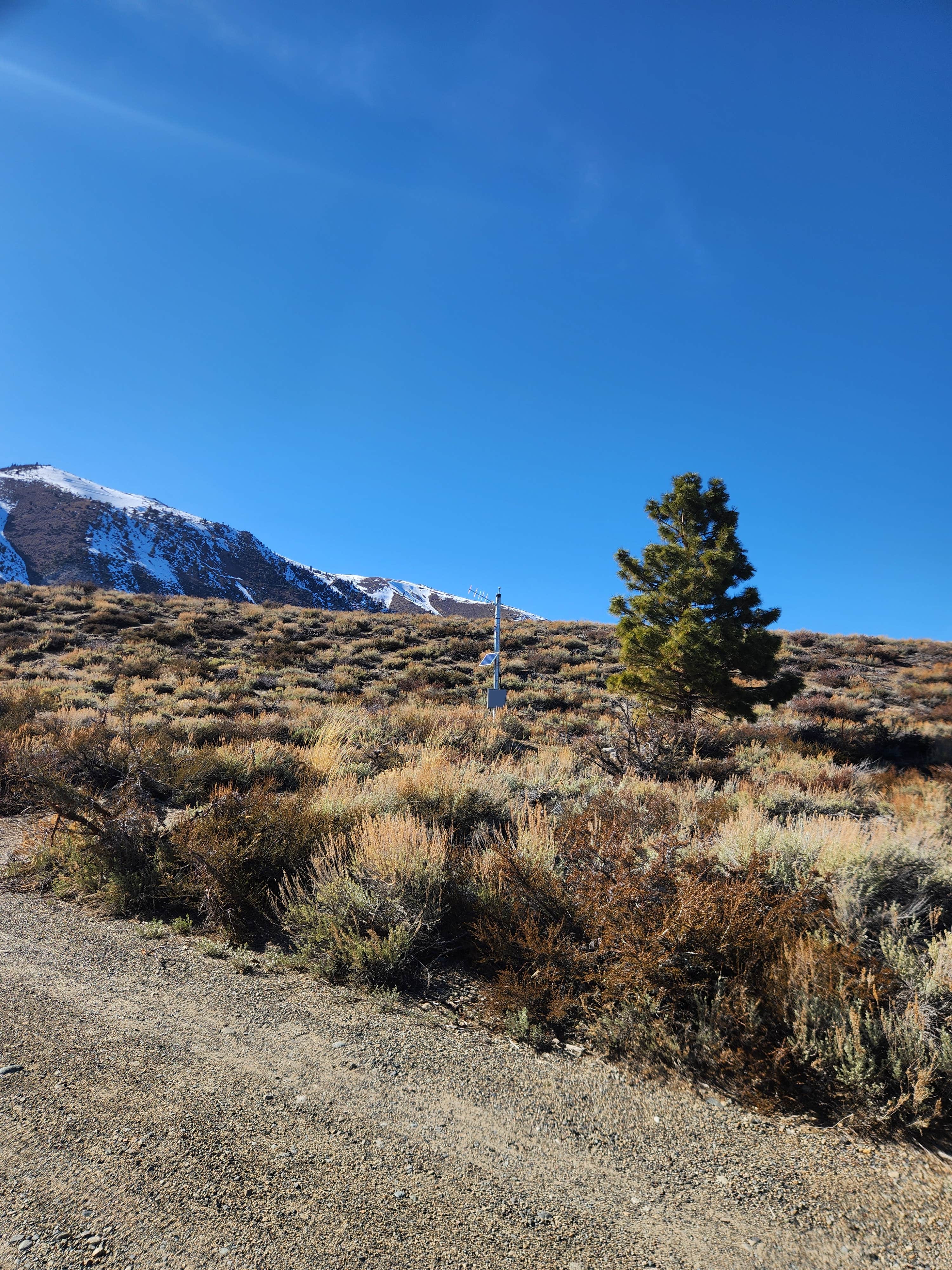 Camper submitted image from Mill Creek National Forest - 3