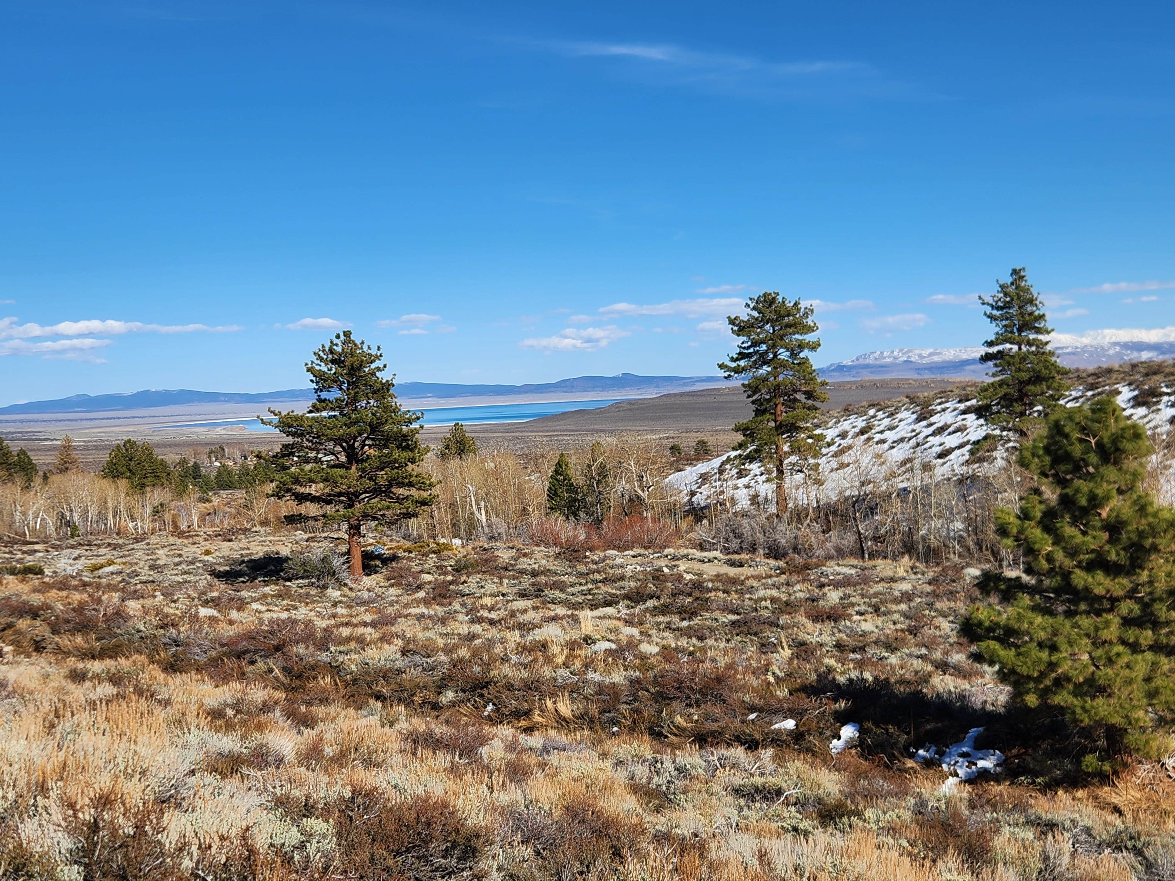 Camper submitted image from Mill Creek National Forest - 2