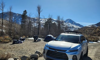 Camping near Trumbull Lake: Mill Creek National Forest, Mono City, California