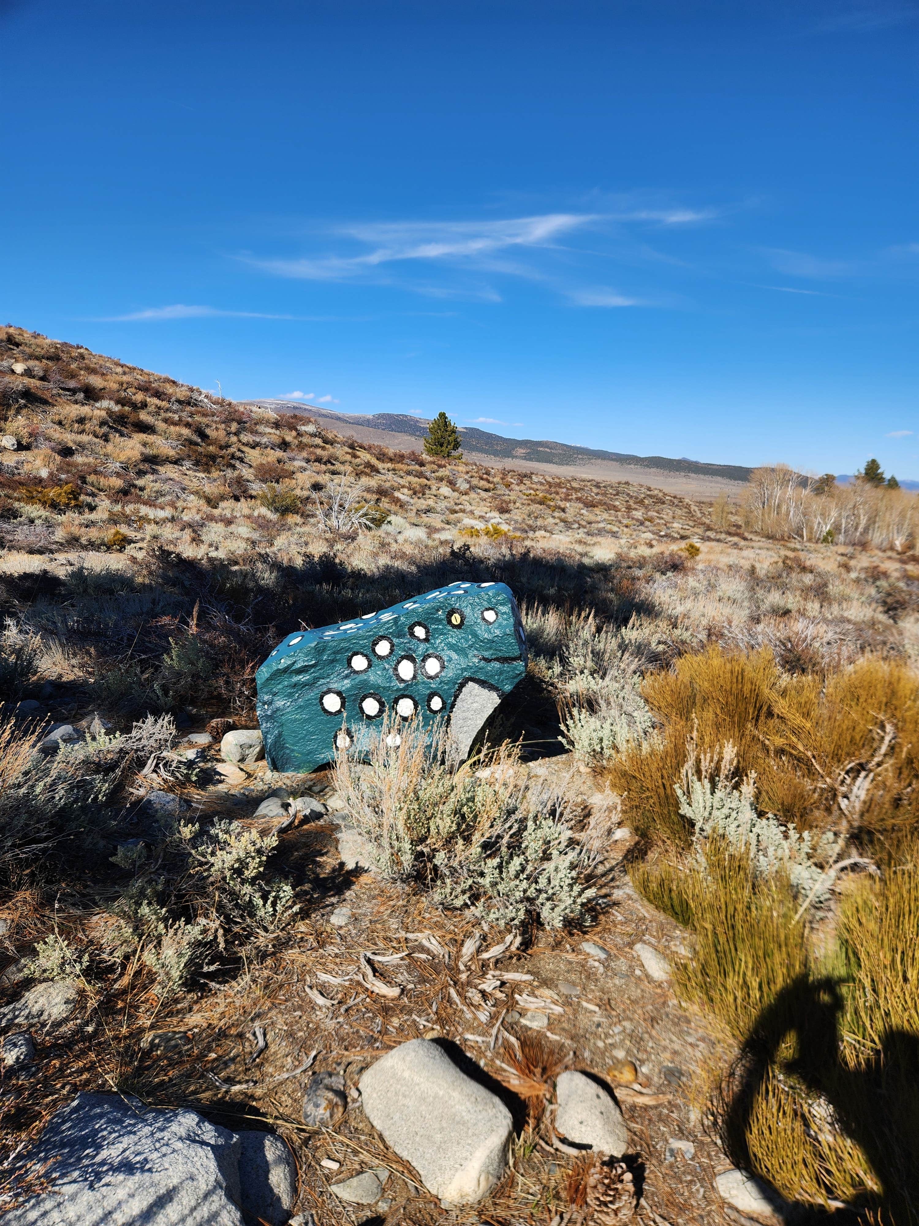 Camper submitted image from Mill Creek National Forest - 4