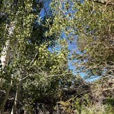 Review photo of Mill Creek National Forest by Kristin C., July 8, 2025