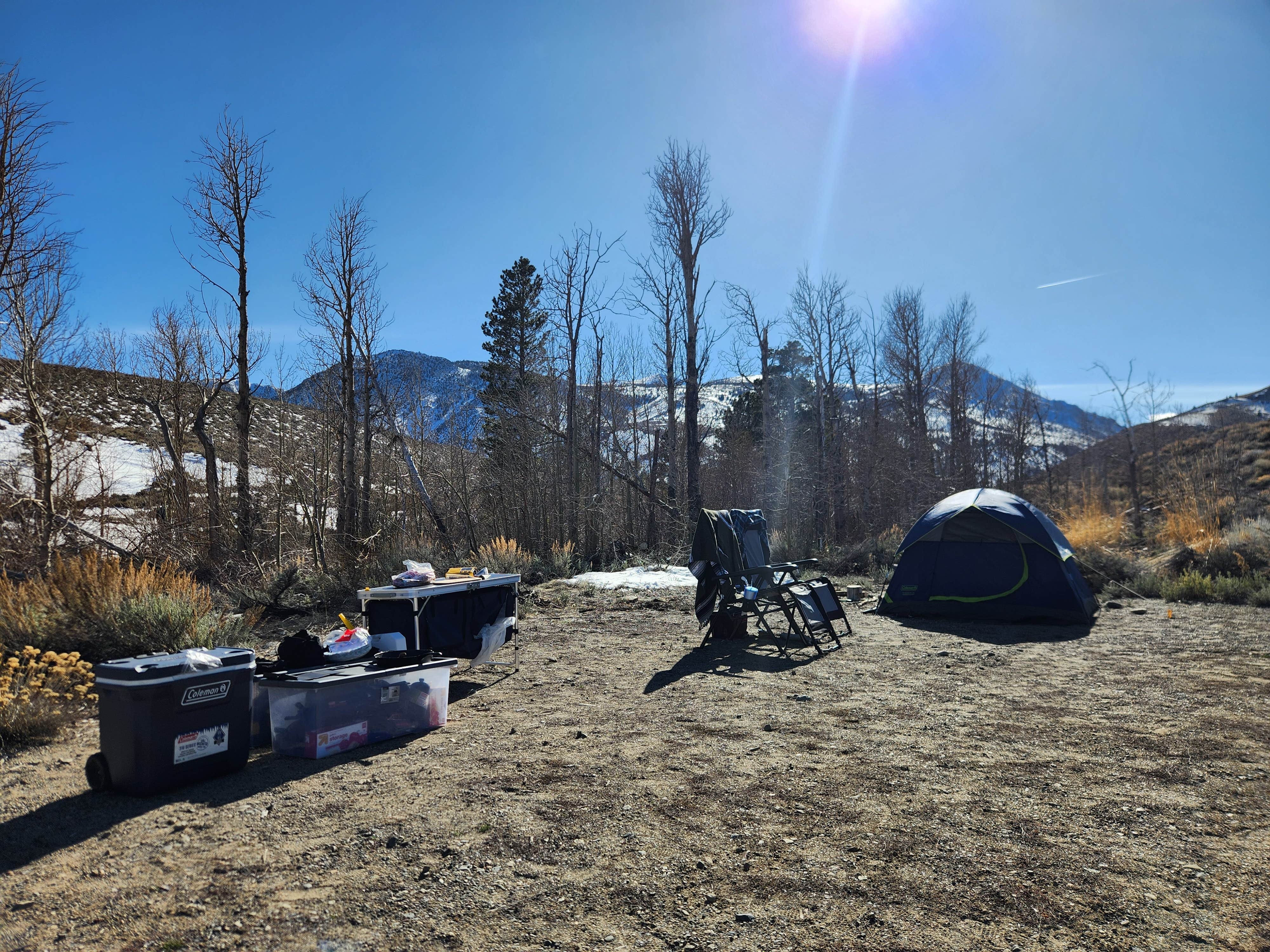 Camper submitted image from Mill Creek National Forest - 5