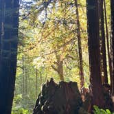 Review photo of Mill Creek Campground — Del Norte Coast Redwoods State Park by Sam S., August 26, 2024