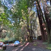 Review photo of Mill Creek Campground — Del Norte Coast Redwoods State Park by Sam S., August 26, 2024