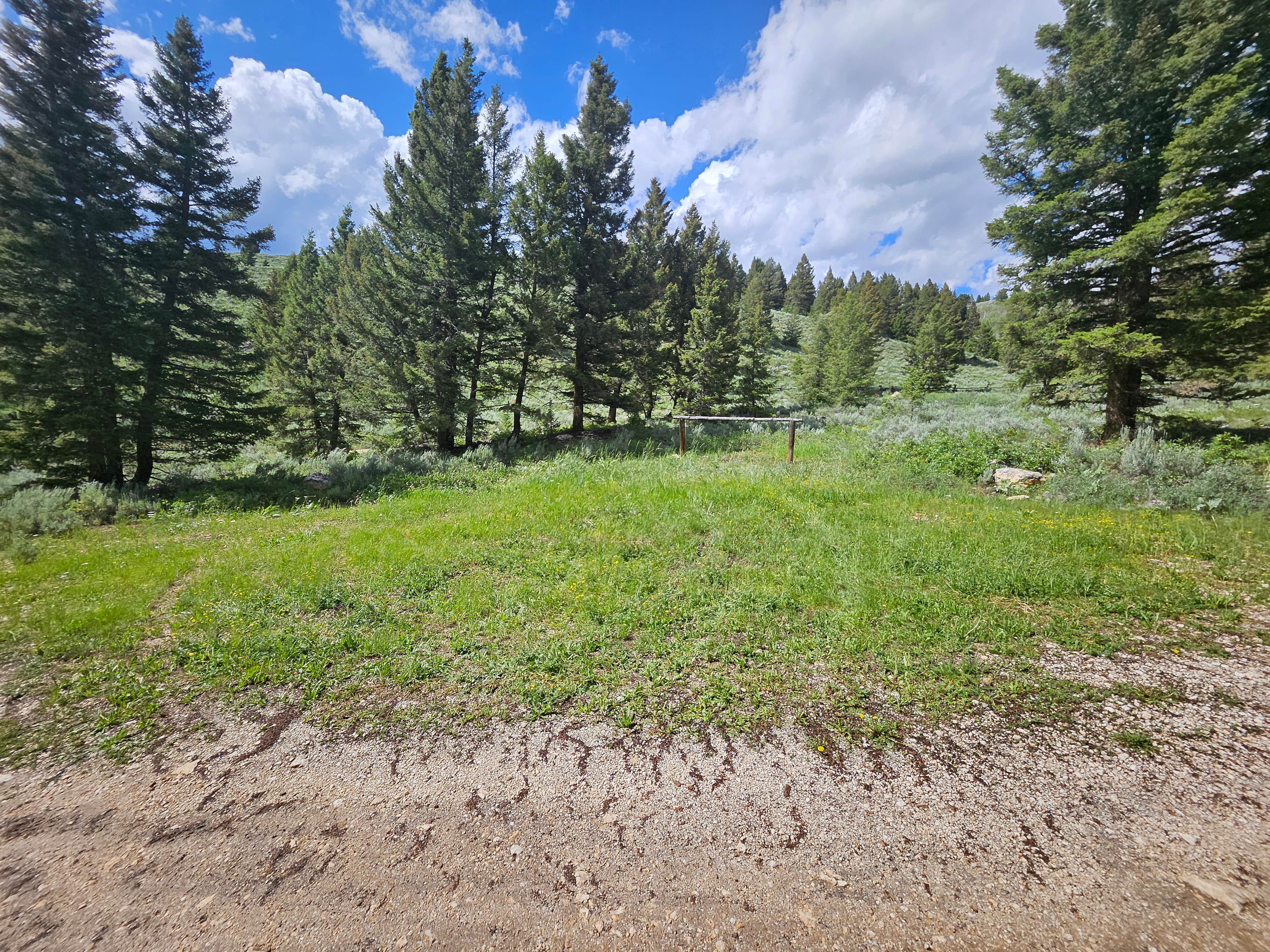 Camper-submitted photo at Mill Creek Trailhead & Campground near Mackay, ID