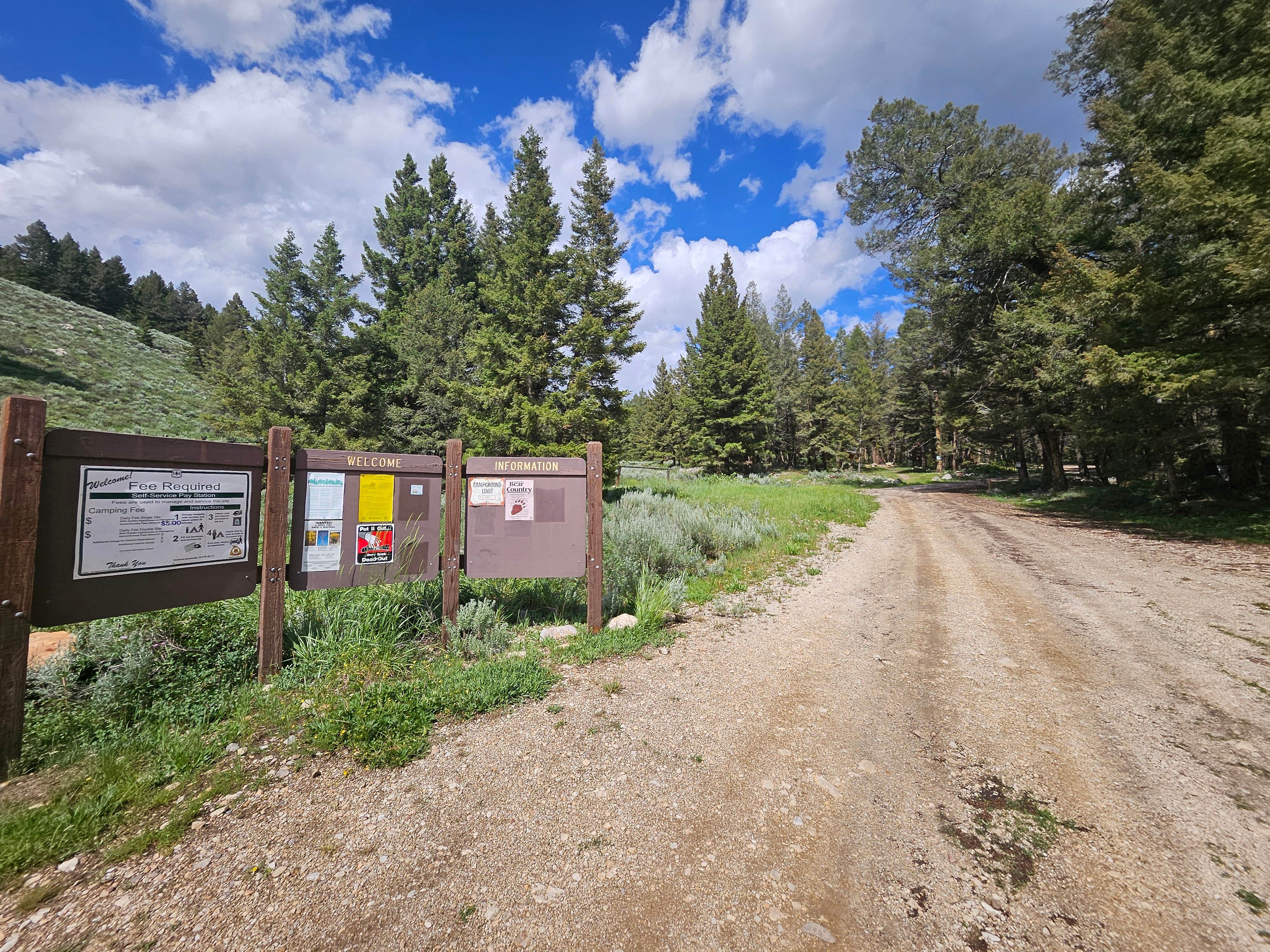 Camper submitted image from Mill Creek Trailhead & Campground - 4