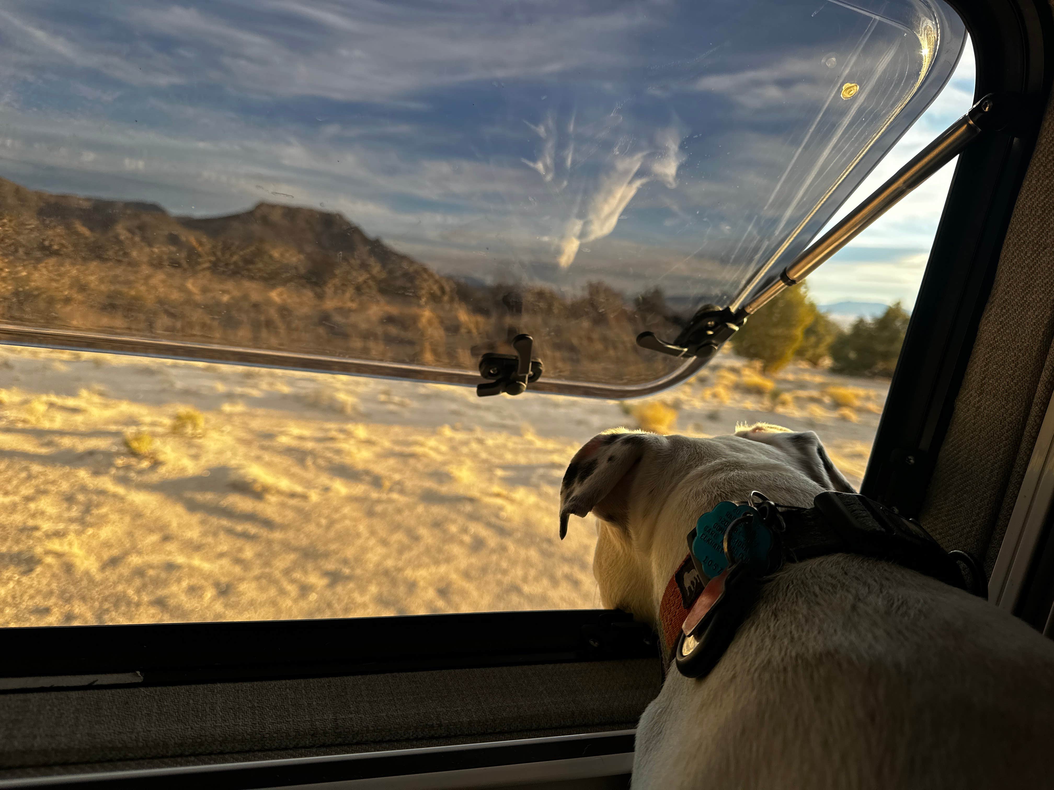 Camper-submitted photo at Millard Desert Camp near Great Basin National Park